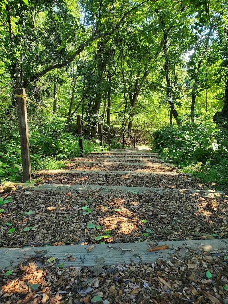 Garvies Point Museum & Preserve photo 5