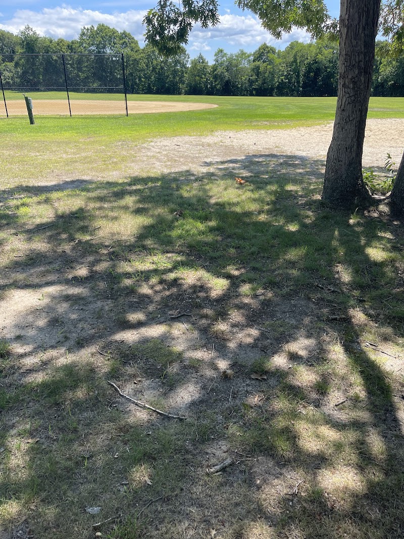 Gaynor Park photo 4