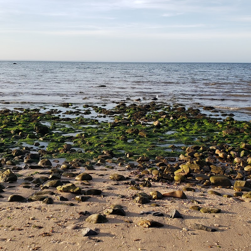 Geisslers Beach Park photo 3