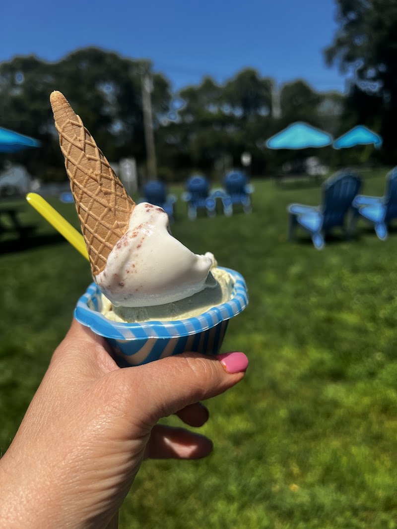 Gemelli Gelato of Hampton Bays photo 4
