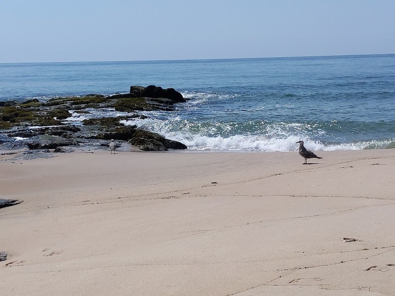 Georgica Beach photo 4