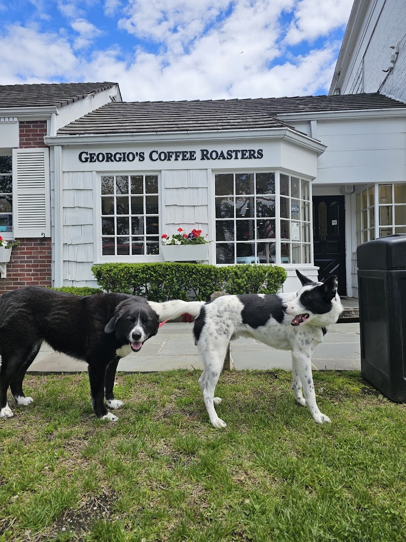 Georgio's Coffee Roasters photo 5