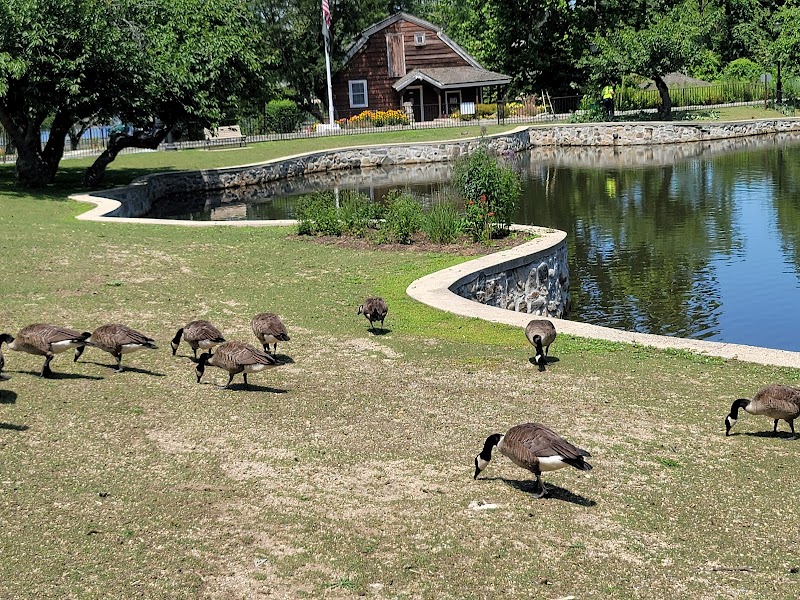 Gerry Park photo 5