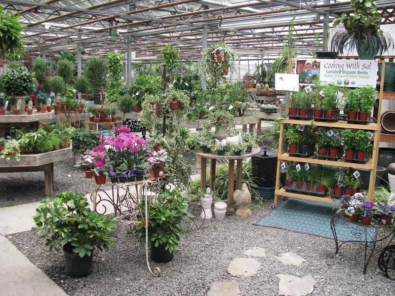 Gilbertie's Herbs and Garden Center photo 2