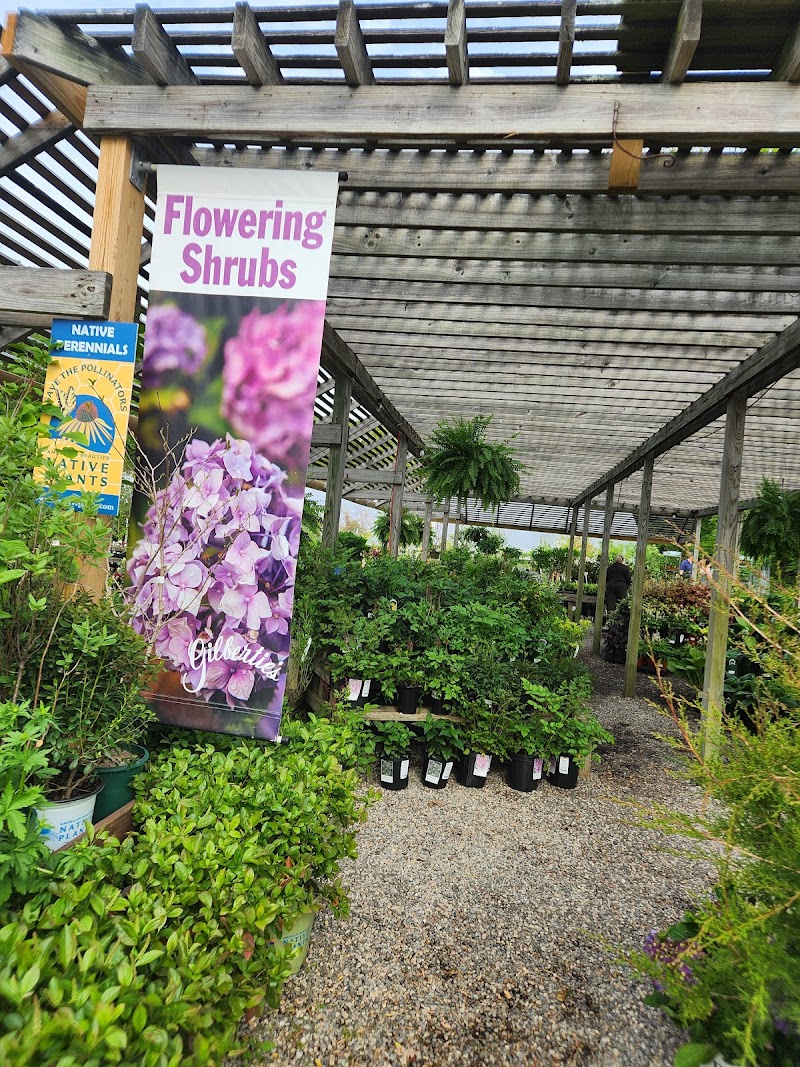 Gilbertie's Herbs and Garden Center photo 3