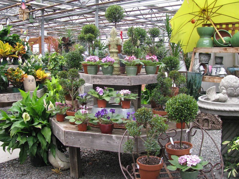 Gilbertie's Herbs and Garden Center photo 5