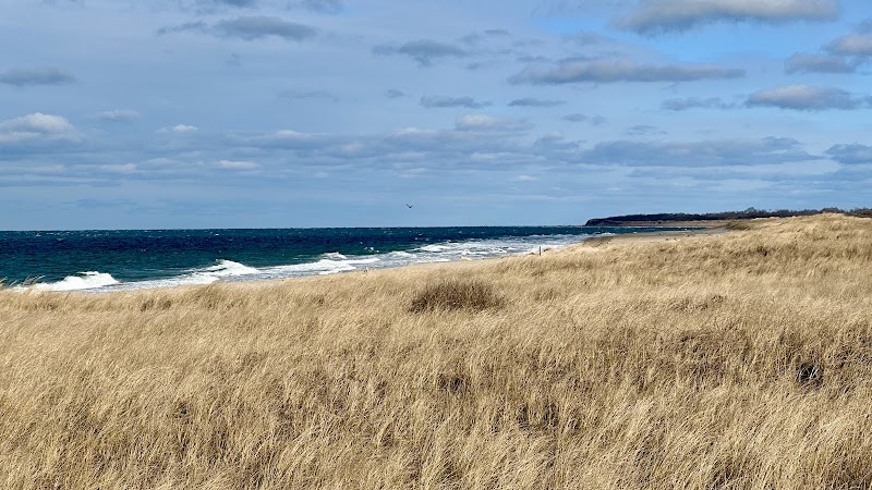 Gin Beach photo 4