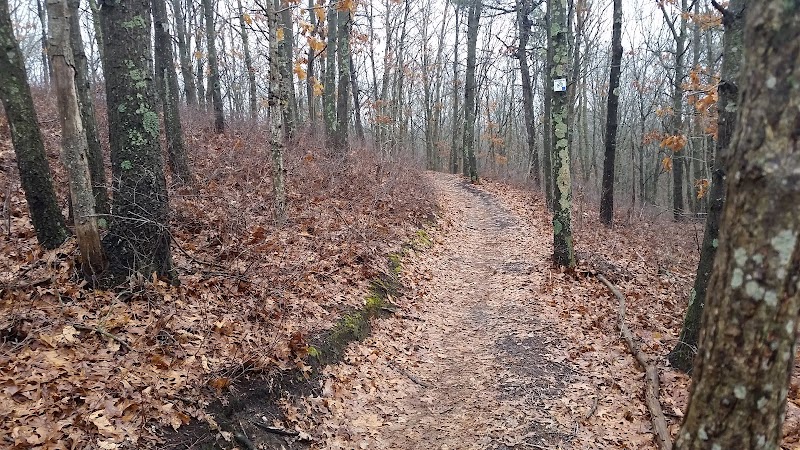 Glacier Ridge Bike Trail photo 2