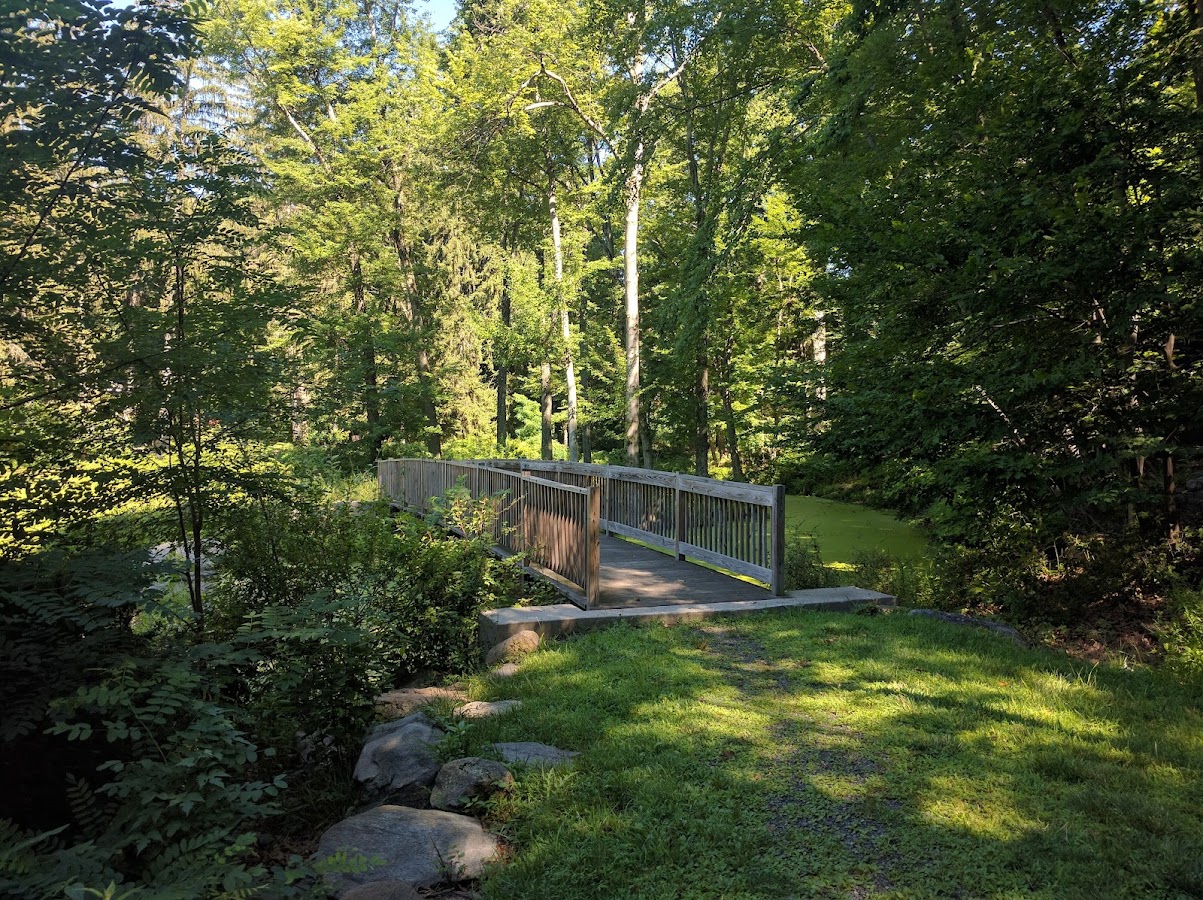 Glenville Woods Park Preserve photo 2