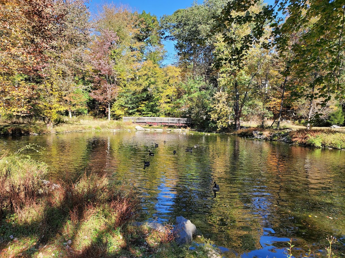 Glenville Woods Park Preserve photo 3