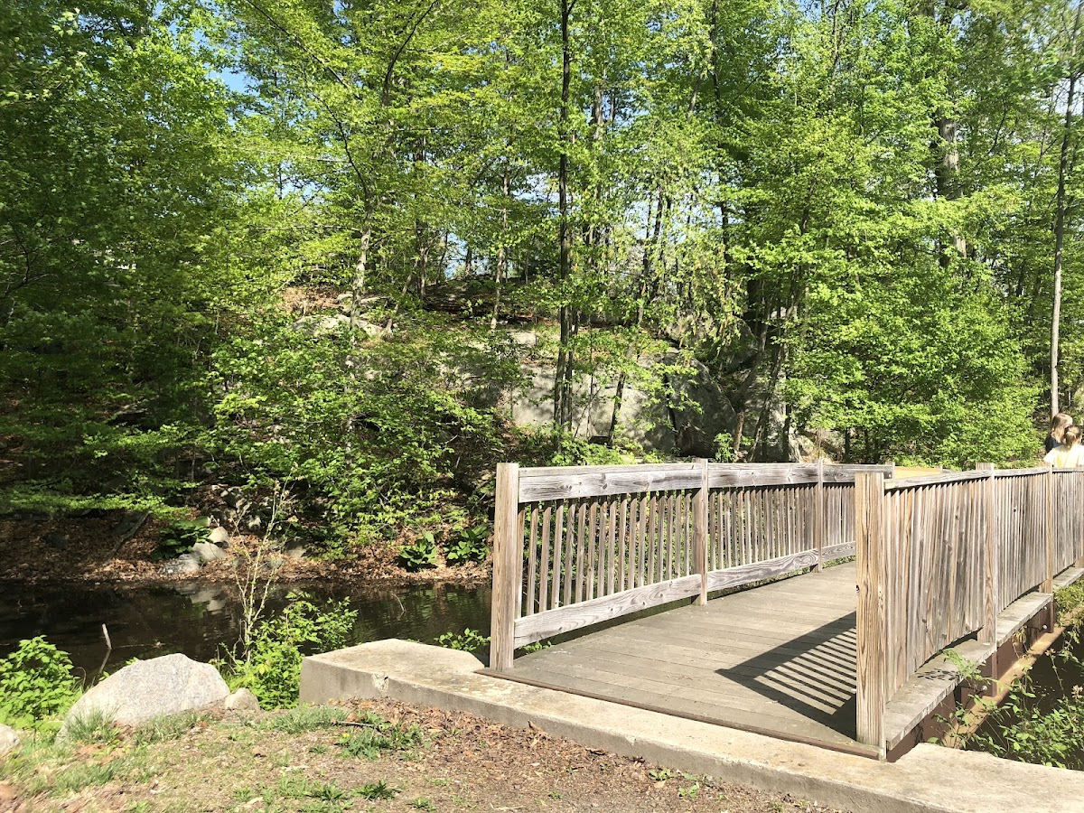 Glenville Woods Park Preserve photo 4