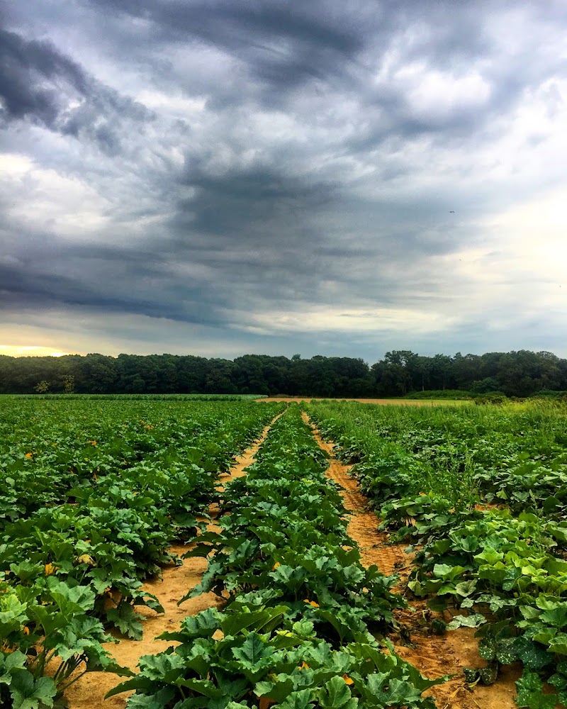 Glover Farms photo 2