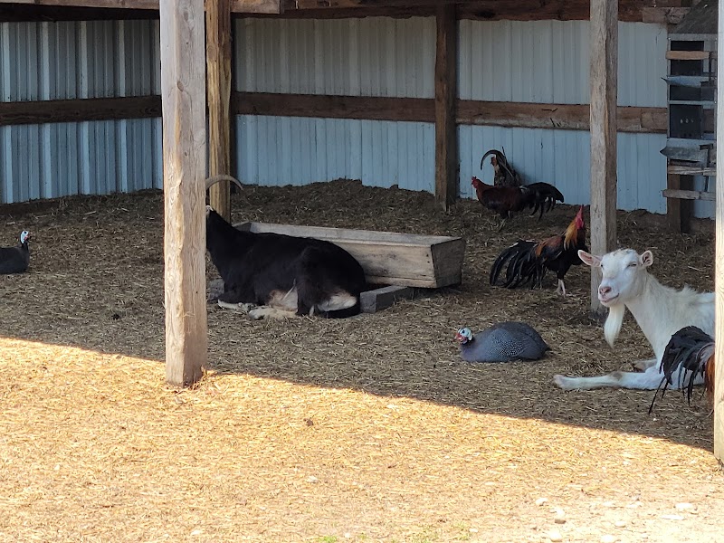 Glover Farms photo 3