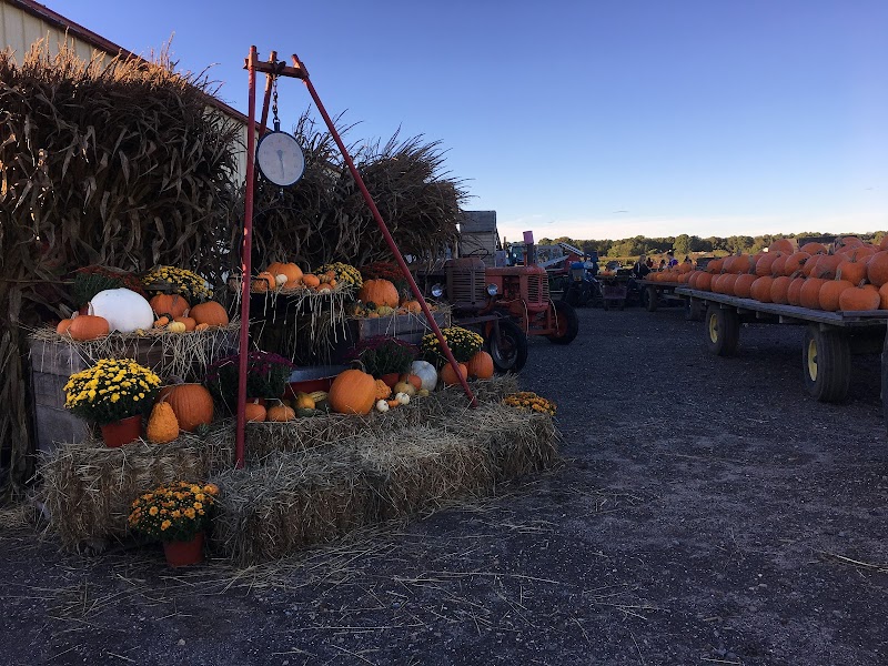 Glover Farms photo 5
