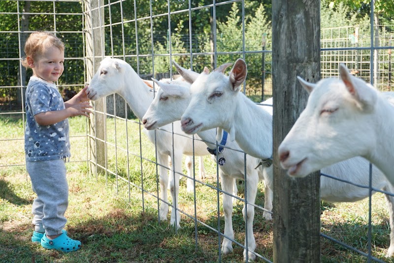 Goodale Farms photo 2