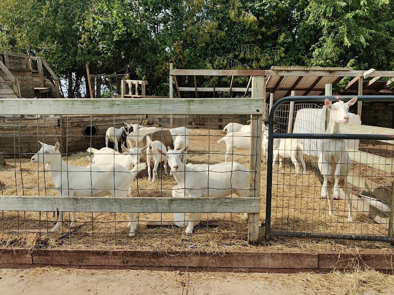Goodale Farms photo 3