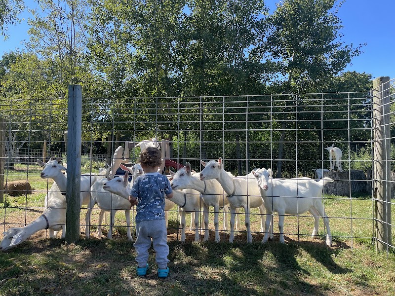 Goodale Farms photo 4