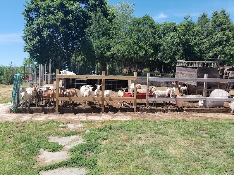 Goodale Farms photo 5