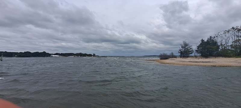 Goose Creek Beach photo 2