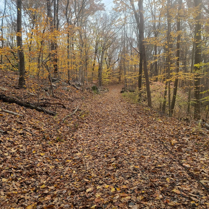 Grace Richardson Conservation Area photo 2