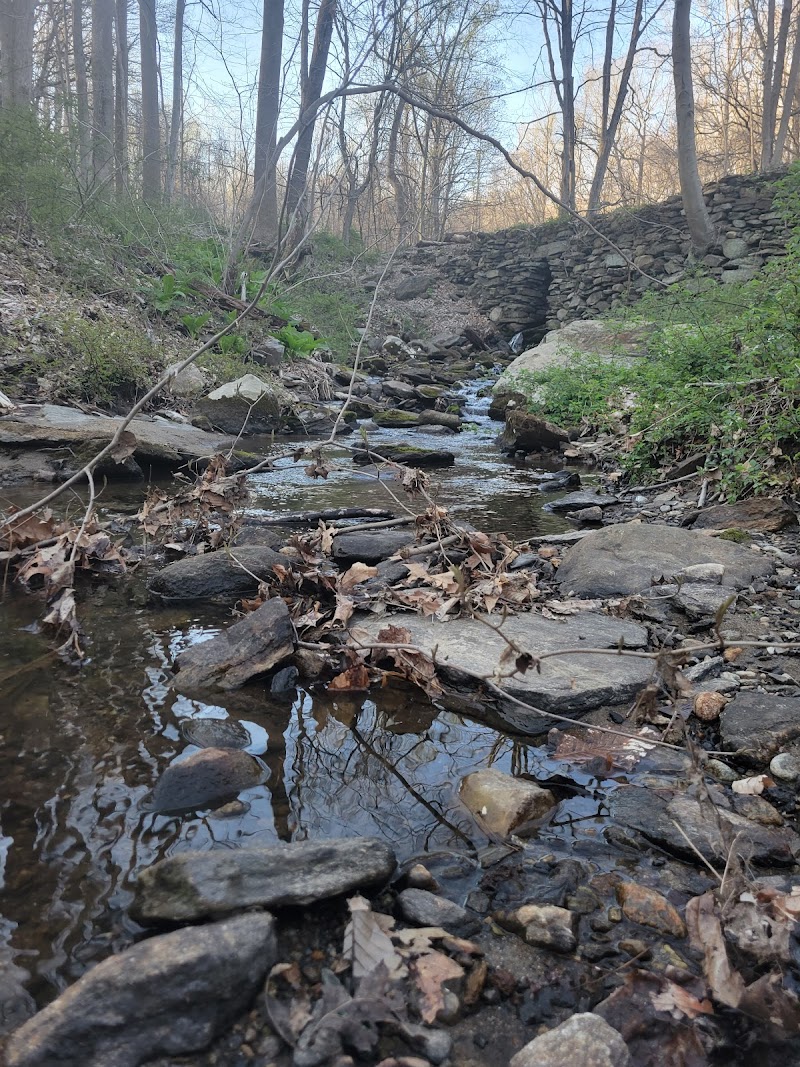 Grace Richardson Conservation Area photo 3