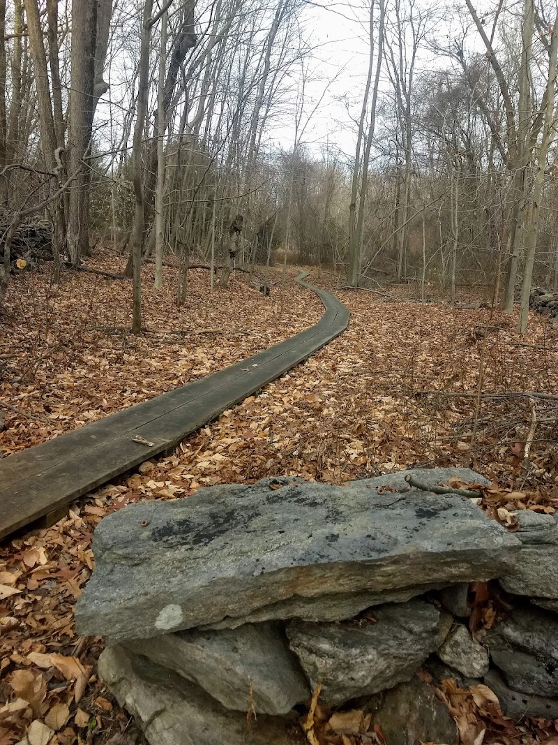 Grace Richardson Conservation Area photo 4