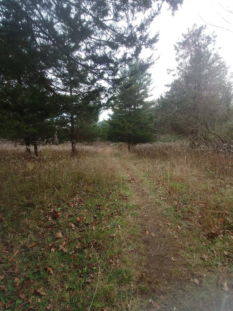 Grace Richardson Conservation Area photo 5