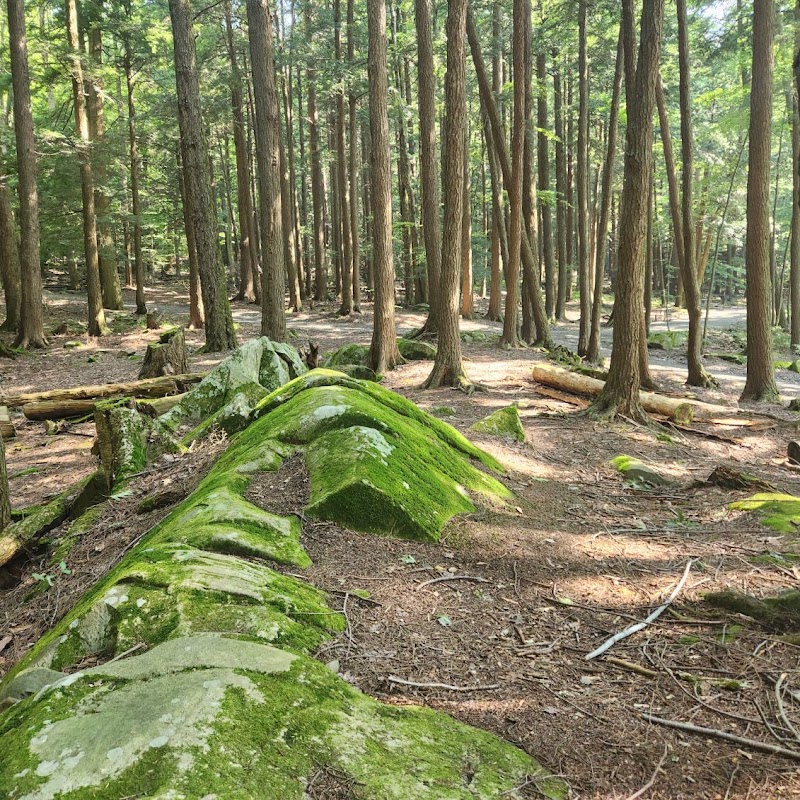Grafton Lakes State Park photo 5