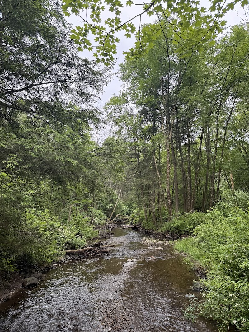 Great Hollow Nature Preserve & Ecological Research Center photo 3