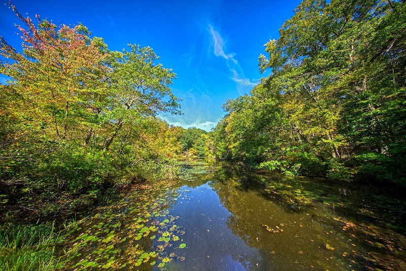 Greenwich Audubon Center photo 4