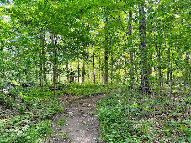 Greenwich Audubon Center photo 5