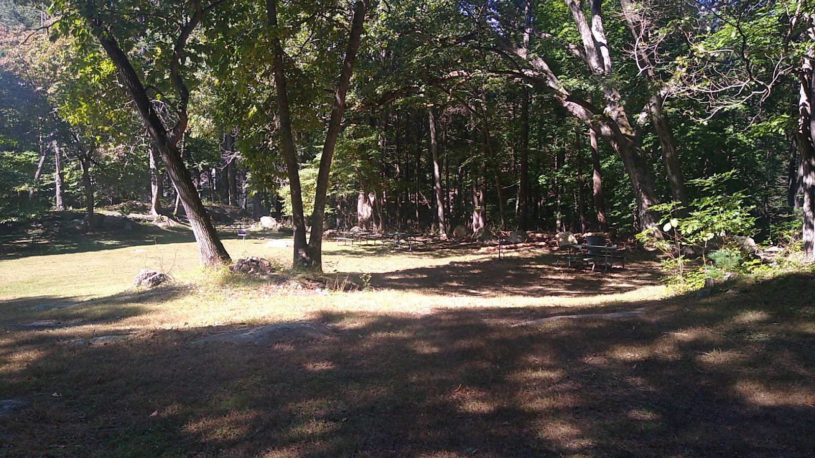 Greenwich Botanical Center photo 2