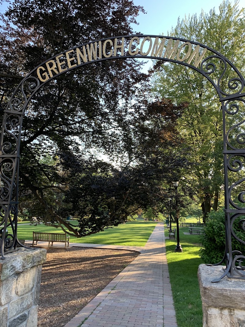 Greenwich Common photo 2
