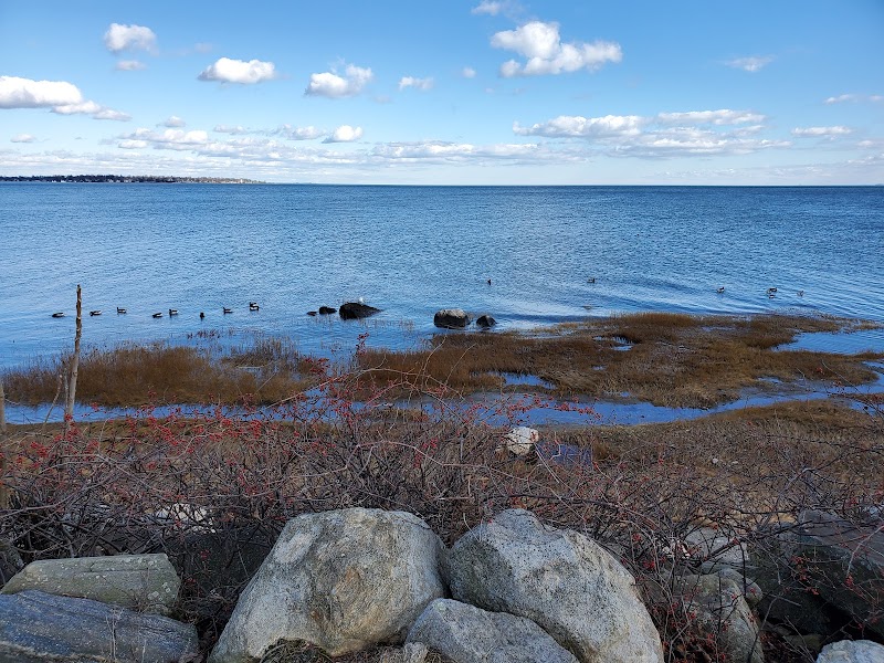 Greenwich Point Beach photo 3