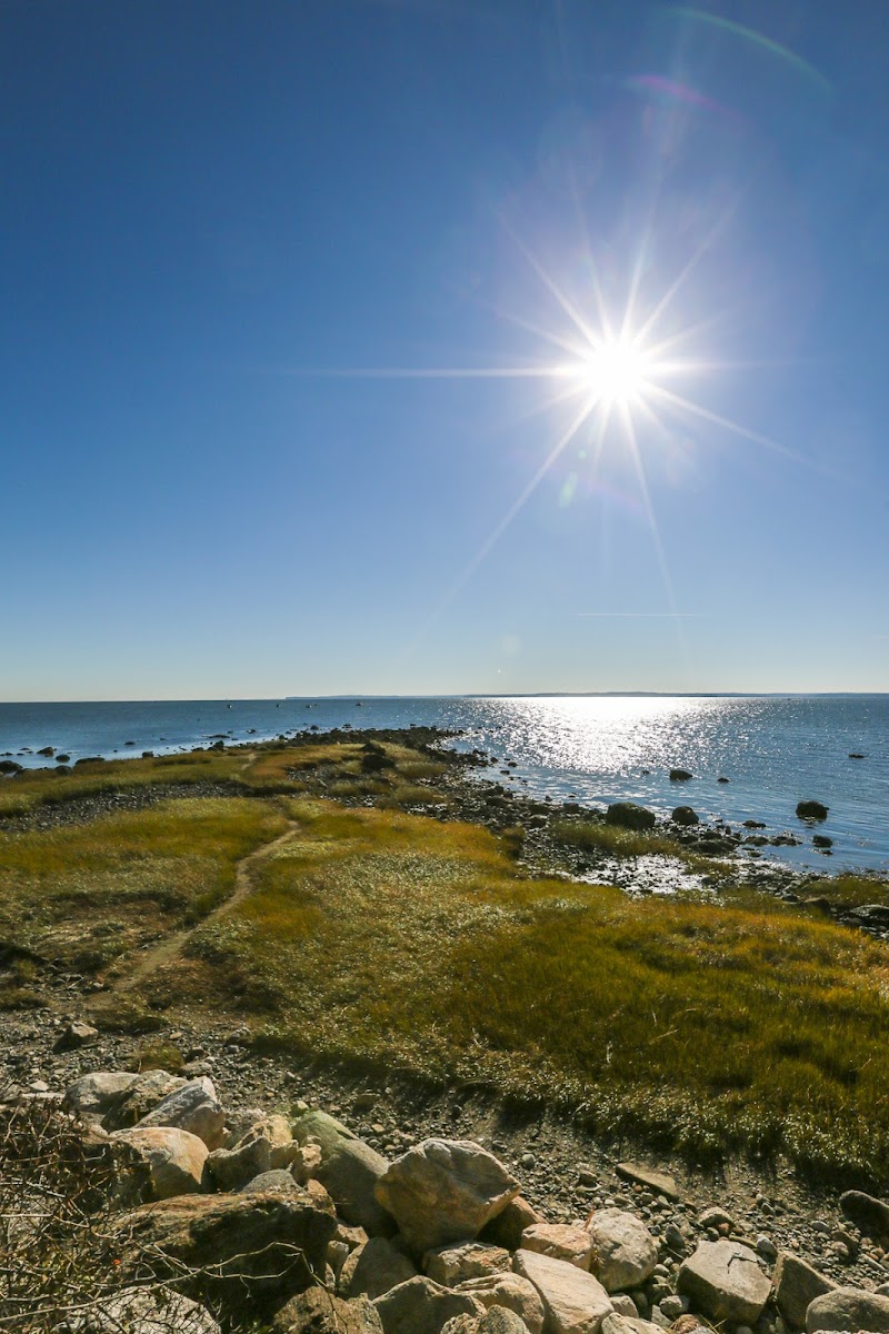 Greenwich Point Beach photo 4