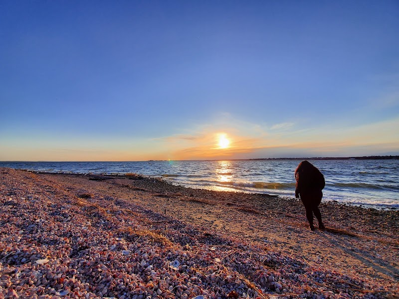 Greenwich Point Park photo 5