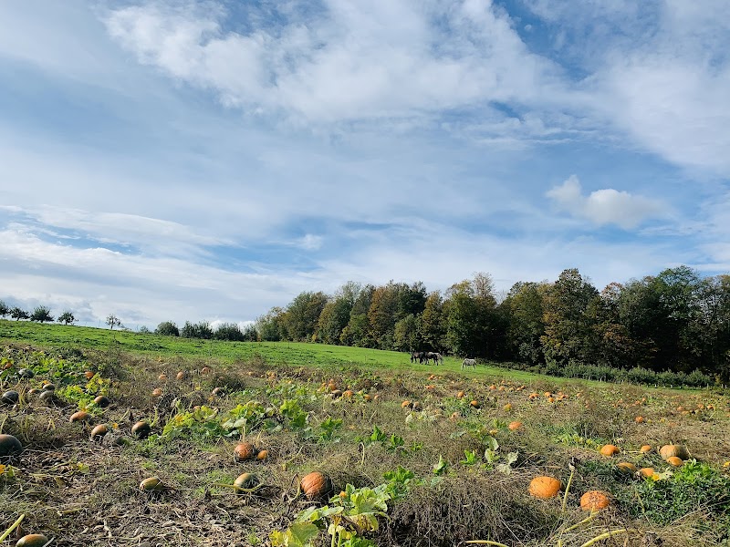 Grisamore Farms photo 2