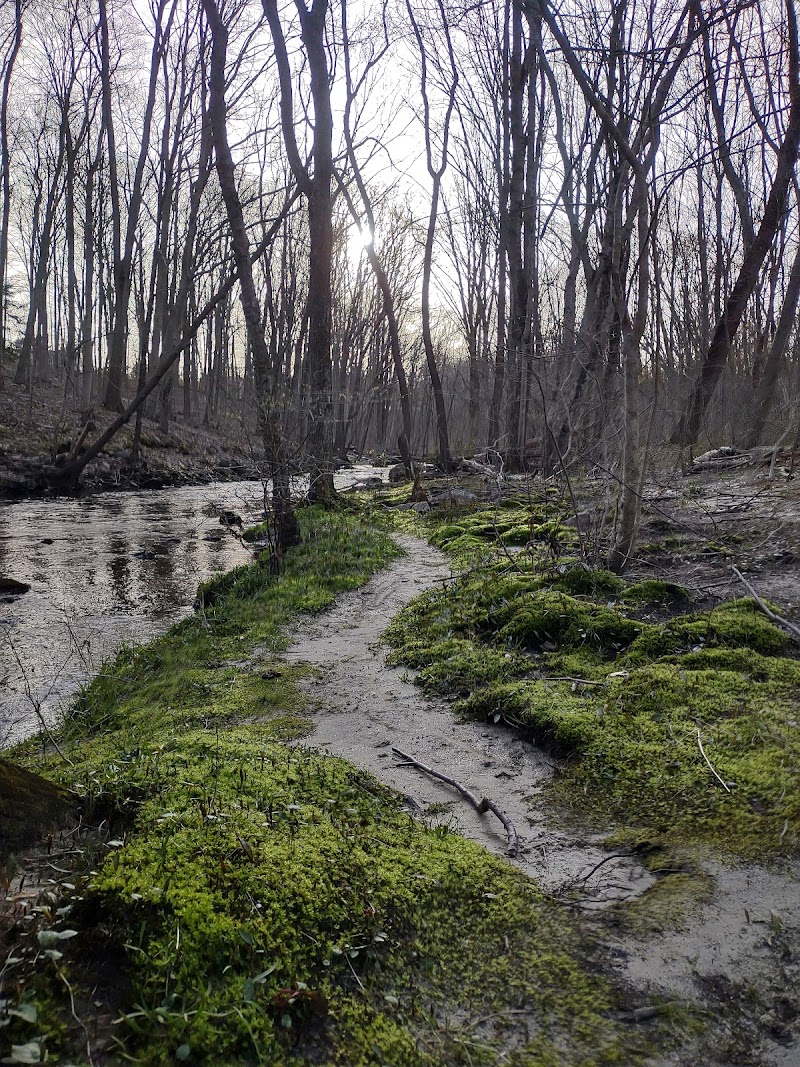 Gristmill Open Space photo 2