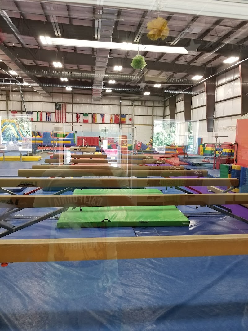 Gym-Nest photo 5