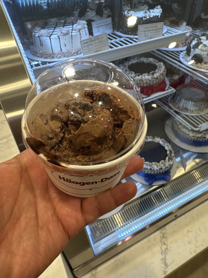 Häagen-Dazs photo 4