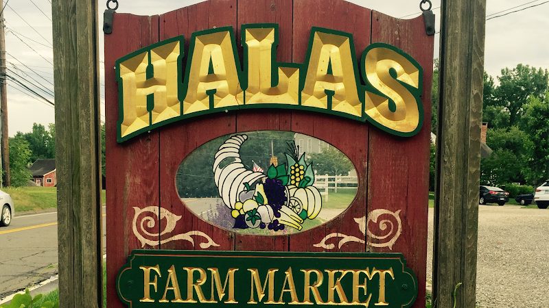 Halas Farm Market photo 2