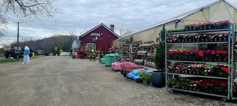 Halas Farm Market photo 3