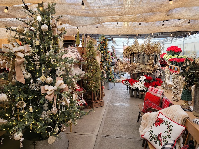 Halas Farm Market photo 4