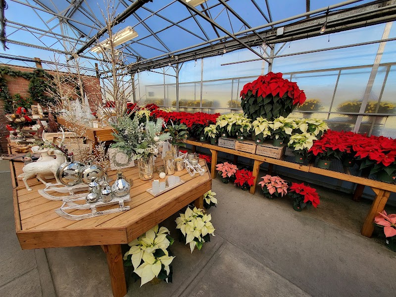Halas Farm Market photo 5