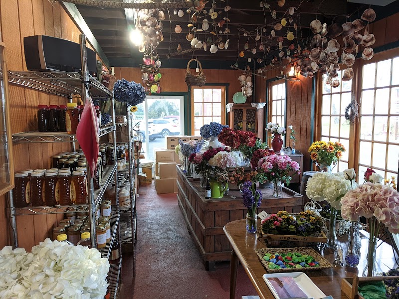 Hallock's Cider Mill photo 3