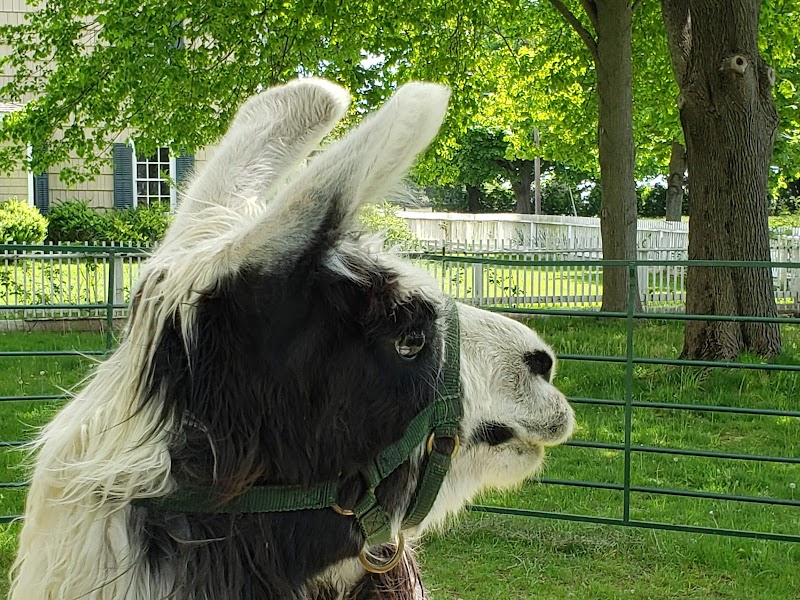 Hallockville Museum Farm photo 3