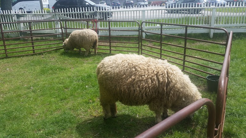 Hallockville Museum Farm photo 4