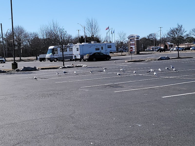 Harbor Freight photo 5