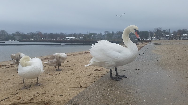 Harbor Island Park photo 4