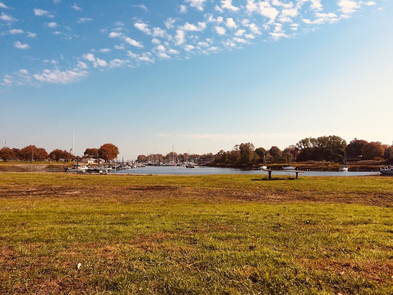 Harbor Island Park photo 5